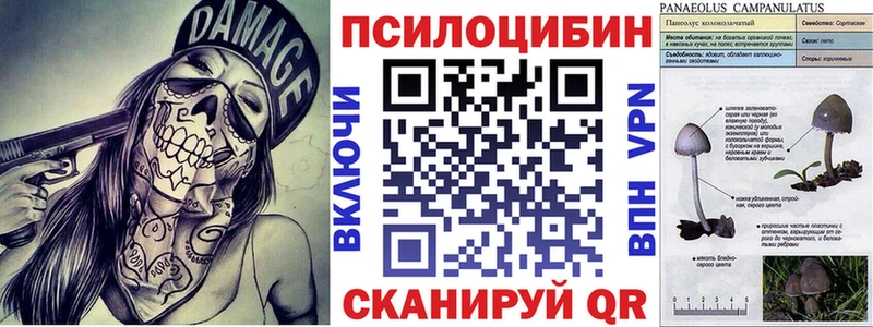 Псилоцибиновые грибы мицелий  Купить  Гусиноозёрск 